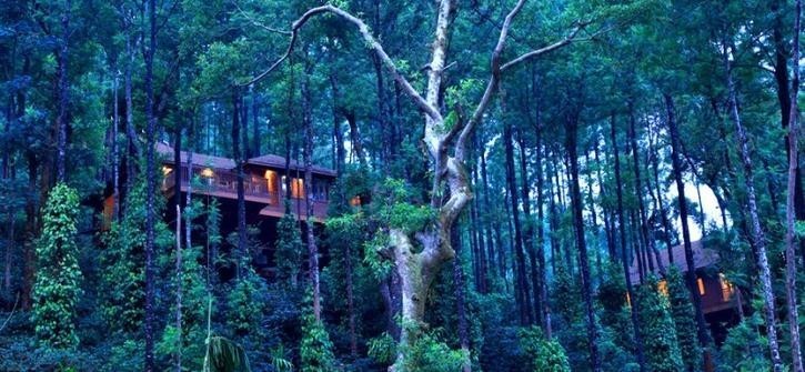 The Tamara, Coorg