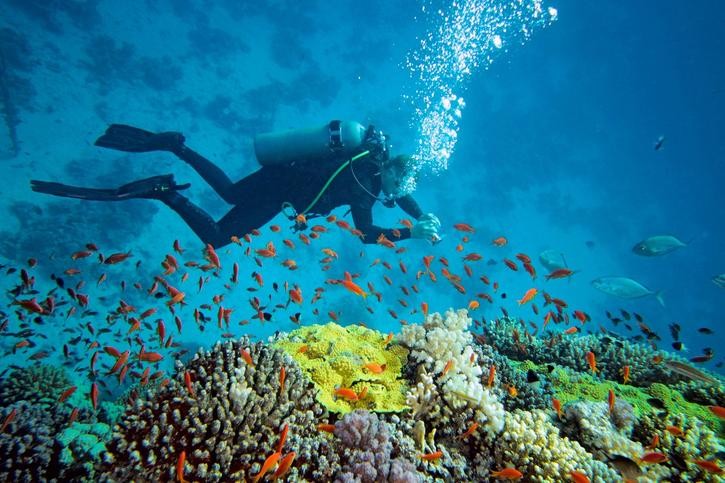 ANDAMAN ISLANDS - Havelock Island