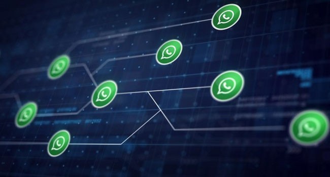 Social Network Grows