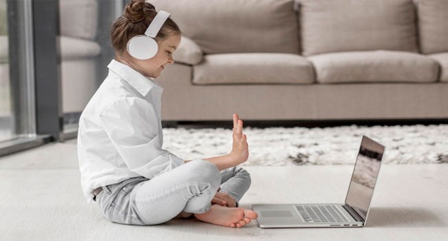 Ensuring that the Program is Implemented and Adapted to the Program