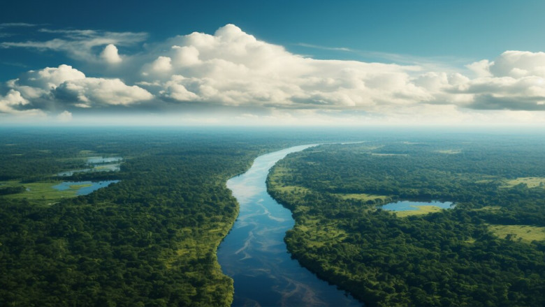 Why is Amazon Forest called Lungs of the Earth ?