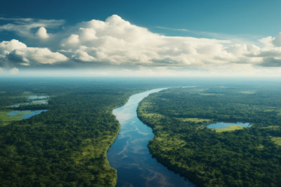Why is Amazon Forest called Lungs of the Earth ?